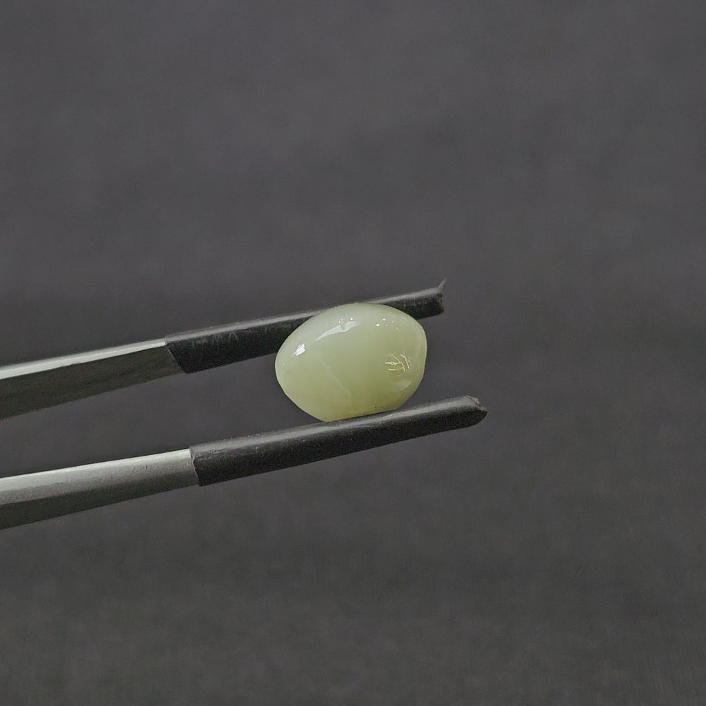 5.790 CT (CT-0115)