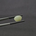 5.790 CT (CT-0115)